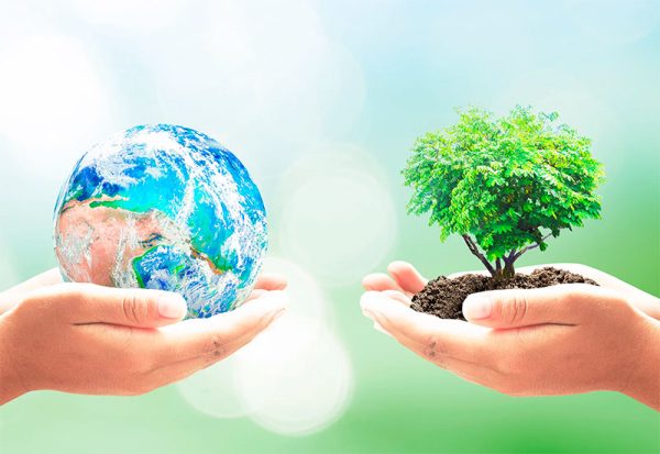 Curso De Direito Ambiental