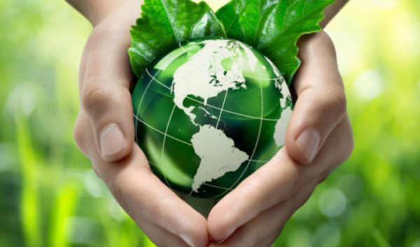 Curso Educação Ambiental e Sustentabilidade