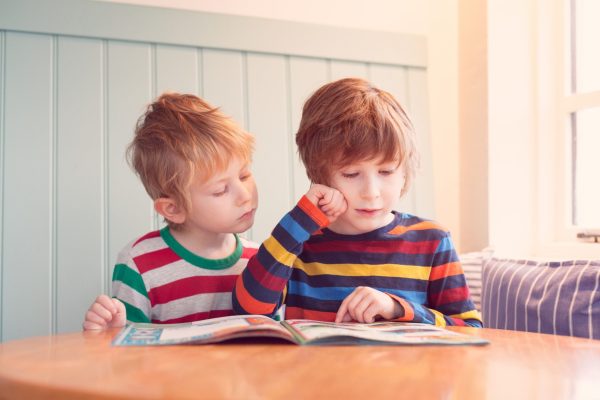 Curso Leitura na Educação Infantil