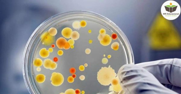 Curso Microbiologia e Imunologia