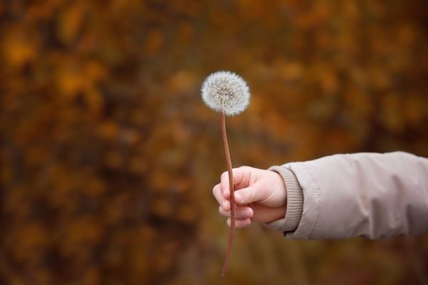 Assistência Social a Crianças e Adolescentes em Vulnerabilidade Social